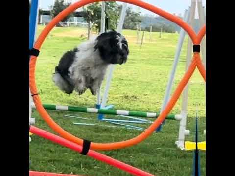 Entrenamiento en Zakia