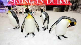 SKI DUBAI | Am I CAMERA SHY ??? / VLOGMAS Day 2