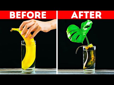 28 Nifty Banana Hacks and Tricks Everyone Could Use