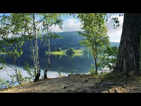 Semsvann, Asker, August 2025