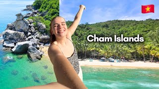 Cham Islands Vietnam: Is it worth it?  (30 min from Da Nang) 🇻🇳