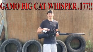 GAMO BIG cat whisper pellet rifle review!!