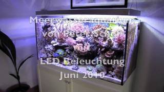 preview picture of video 'Peter Scholl Juni 2010'