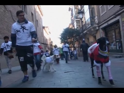 Meningkatkan Kesadaran Hak Binatang di Madrid