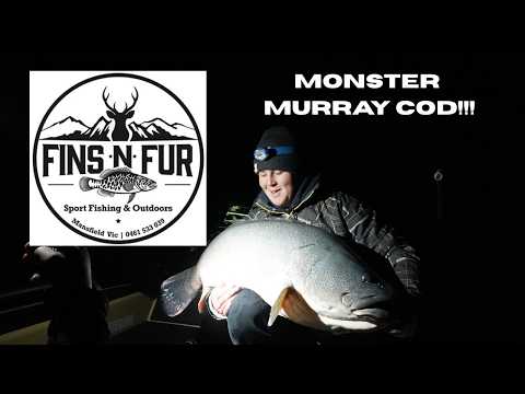 MASSIVE MURRAY COD with FINS AND FUR SPORTFISHING AND OUTDOORS. (117cm MURRAY COD!!!)