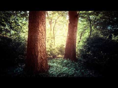 Bing satellites: More #2