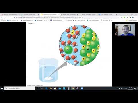 AP Biology Chapter 2, Part 2: The Chemical Context of Life