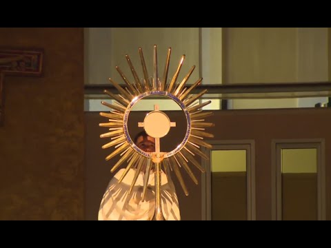 Adorazione Eucaristica - Međugorje - giovedì 20 Agosto 2020 - fra Zvonimir Pavičić