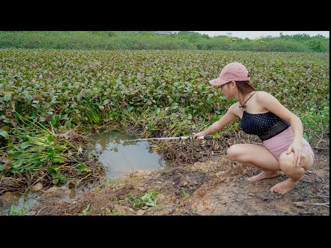 Amazing Fishing | Beautiful Girl Hunting Giant Fish in a Great Location