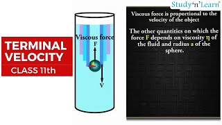 Terminal Velocity | Stokes' Law | Mechanical Properties of Fluids | Class 11 Chapter 10 | Physics