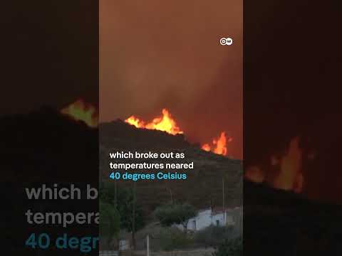 Spain's deadliest wildfire in over two decades | DW News