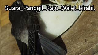 Download lagu suara panggil ratu walet birahi mp3