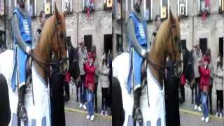 preview picture of video 'Caballos medievales en Oropesa 2012 (3D)'