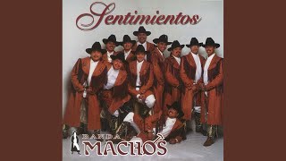 Un Indio Quiere Llorar Banda Machos Letras