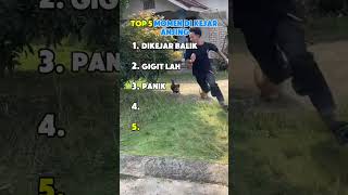 Download lagu Top 5 momen dikejar anjing #memes #top5 #shorts mp3 Download lagu Top 5 momen dikejar anjing #memes #top5 #shorts mp3
