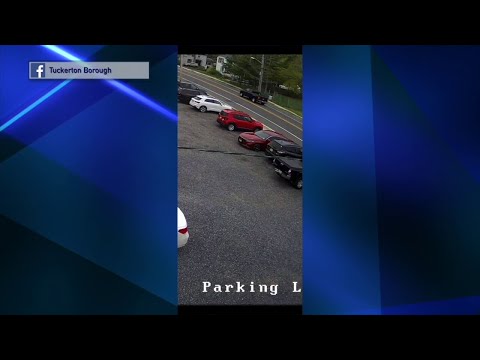 NJ Ocean County Tuckerton Borough P. D. Seeking Hit  & Run Truck Driver