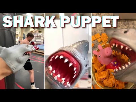 Funny Shark Puppet Skits | Try Not To Laugh Watching Shark Puppet Videos | 2023