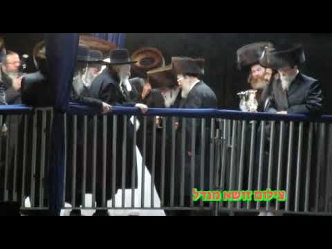 Viznitz Rebbe Mesader Kiddushin At Wedding Of Boyan Rebbe's Einikel - Shvat 5783