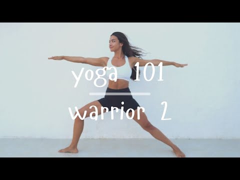 Warrior 2 Tutorial for Complete Beginners