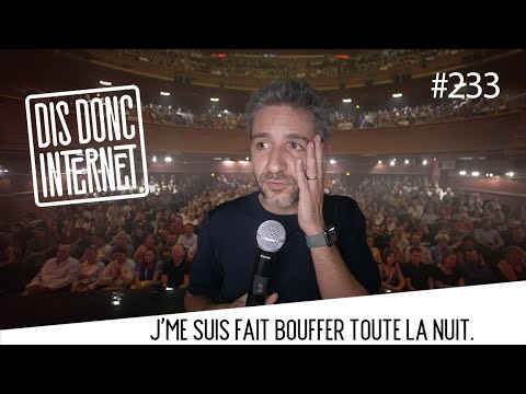 Dard, abeille et spray anti-ours // VERINO - Dis Donc Internet #233