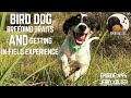 Podcast Short Ep 94- Bird Dog Breeding Traits & Getting In-Field Experience with Jerry Kolter