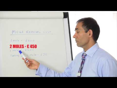 How much does mole removal cost ?