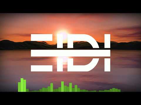 EIDI - New Year EDM Mix 2021/2022