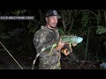 Iguanas fall from trees as South Florida hits the low-40s