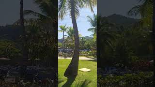 Flori on the go....💃 ❤️ 🌷 ⛱️ 🛳 🌇 # #youtubeshorts #travel #trending #ytshorts #viral #cruise #fun