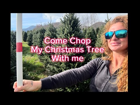 Christmas Tree Fun at Mehaffey Tree Farm 