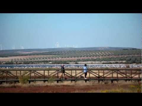 Fuente de Piedra: In Antequera