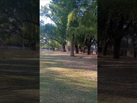 San Estèban, Punilla, Córdoba, Argentina.#sanesteban