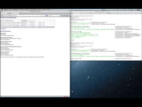 Behat Testausführung