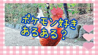 ポケモン好きあるある #Shorts