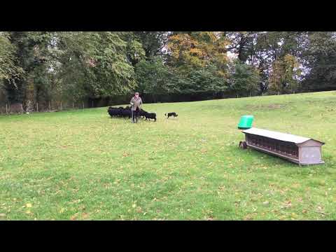 Alan Parker’s Gail