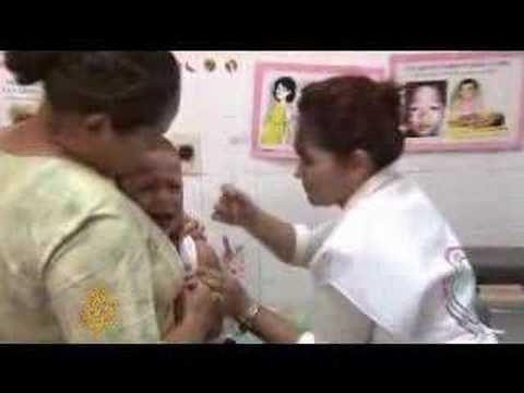 Yellow fever crisis in Paraguay - 28 Feb 08