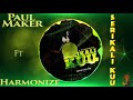 Paul Maker ft. Harmonize – Serikali Kuu