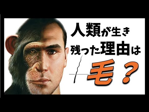 IUCN分類における絶滅の危険性を示す図。