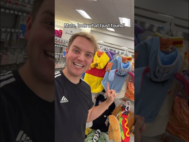 Vídeo relacionado con Disney Winnie The Pooh: Rubies - Disfraz de Tigger para Perros o Gatos, Talla XL
