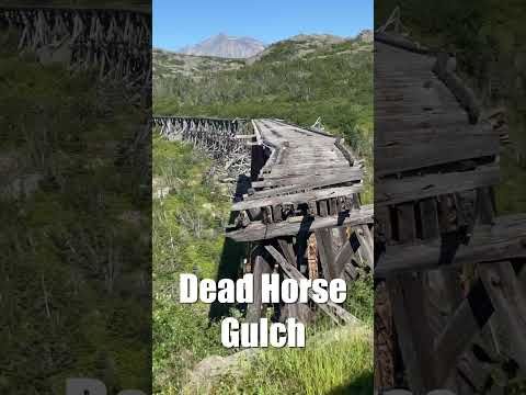 Thumbnail for Alaska’s top rated railway journey is an epic day from Skagway! #alaska #cruise #travel #trains