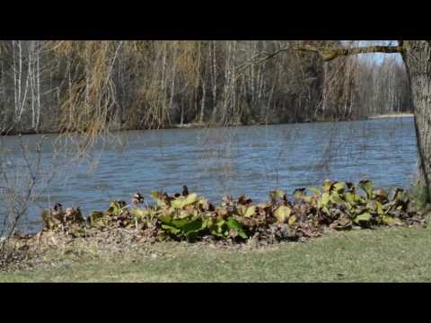 Aurinkoista iltapävää