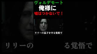 俺様に嘘はつかないで！！！！