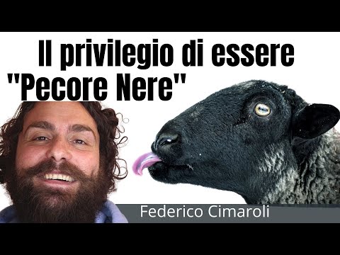 , title : 'Il privilegio di essere "Pecore Nere" - Federico Cimaroli'