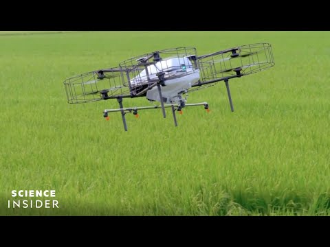 日本如何利用智能農業技術重塑其農業形象 (How Japan Is Reshaping Its Agriculture By Harnessing Smart-Farming Technology)