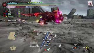 ［PS4］武器練習がてら一狩行くモンハン勢［サンブレイク］