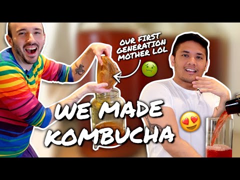 Making Kombucha At Home 🍾 Splitting The Mother + Brewing A Batch Start To Finish