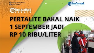 Siap-siap, Harga Pertalite bakal Naik 1 September 2022 Jadi Rp 10.000, Solar Rp 8.500 per Liter