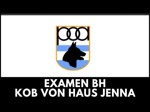 🔴 TEST BH COMPLETO 2018 🔥 Kob Von Haus Jenna (Test di obbedienza)
