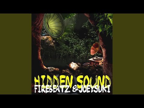 Hidden Sound