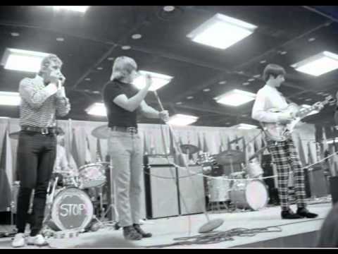 Shadows of Knight Lightbulb Blues